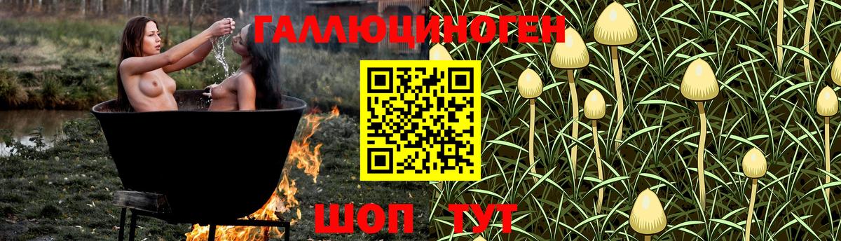Галлюциногенные грибы Magic Shrooms Нефтекамск