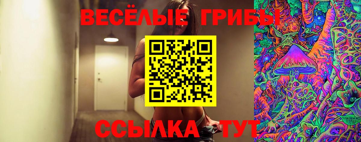 Псилоцибиновые грибы Cubensis  Вход с VPN  Псилоцибиновые грибы ЛСД  Нефтекамск 